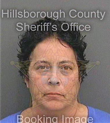 Snyder Pamela - Hillsborough County, FL 