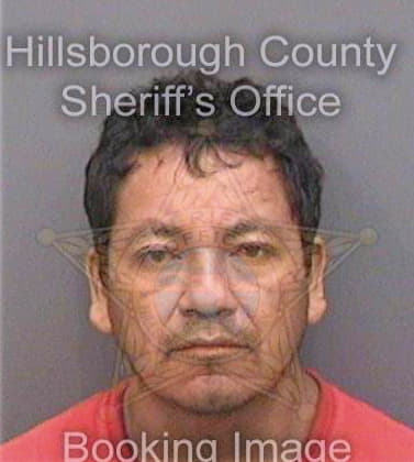Hernandez Epifanio - Hillsborough County, FL 