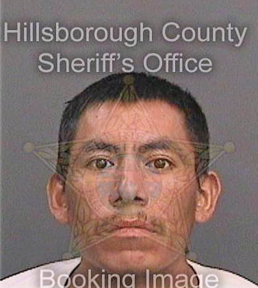 Zeferinodejesus Santiago - Hillsborough County, FL 