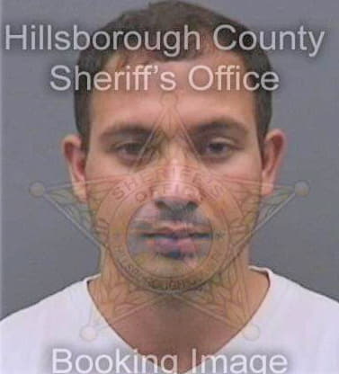 Basnet Saurab - Hillsborough County, FL 