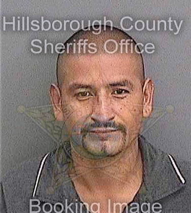 Becerra Efrain - Hillsborough County, FL 