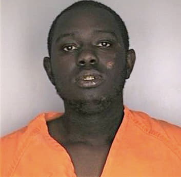 Mcfadden Steven - Hillsborough County, FL 