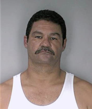 Martinez Wilfredo - Hillsborough County, FL 