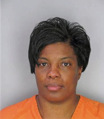 Levy Cherlynn - Hillsborough County, FL 