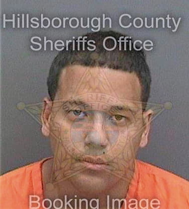 Landronsanchez Julio - Hillsborough County, FL 