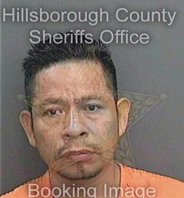 Mejiaescalante Luiz - Hillsborough County, FL 