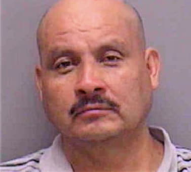 Sanchez-Naranjo Manuel - Lee County, FL 