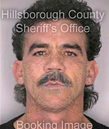Boissaliar Pedro - Hillsborough County, FL 