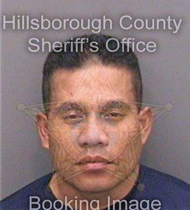 Sohl Martin - Hillsborough County, FL 