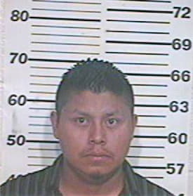 Hernandez Eutiquio - Hidalgo County, TX 