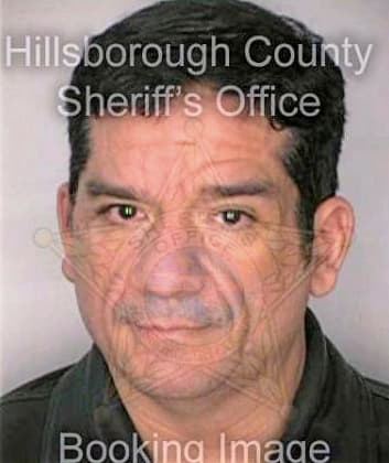 Ramirez John - Hillsborough County, FL 