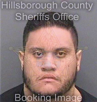 Maldonado Dwight - Hillsborough County, FL 