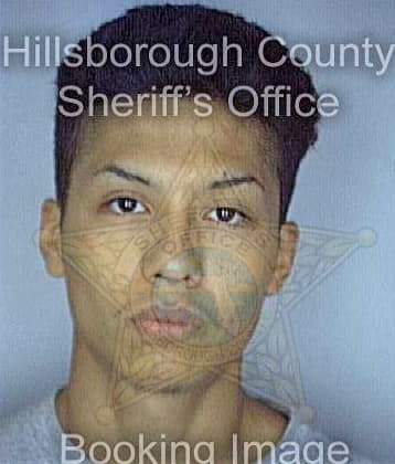 Garcia Daniel - Hillsborough County, FL 