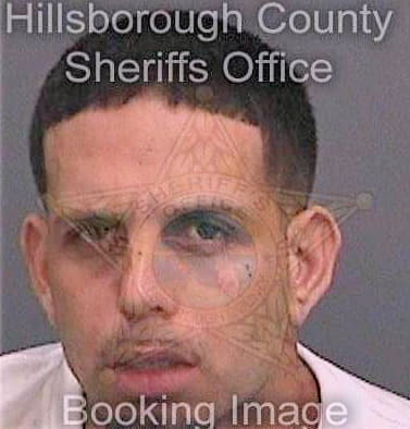 Sanchez-Torres Miguel - Hillsborough County, FL 