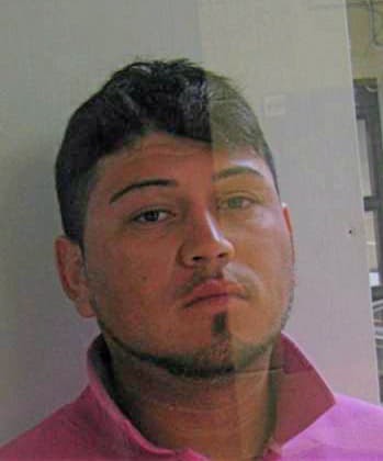 Jimenez Rico - McMinn County, TN 