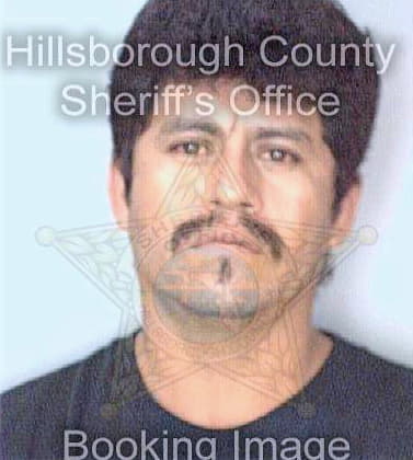 Serrano Felipe - Hillsborough County, FL 