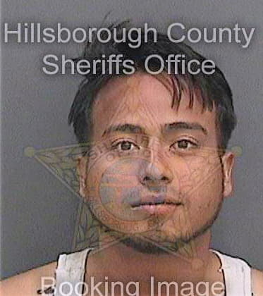 Castrogutierrez Fernando - Hillsborough County, FL 