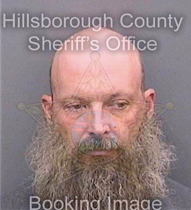 Borrenbergen Ian - Hillsborough County, FL 