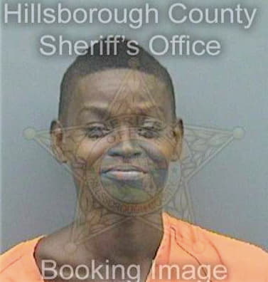 Charles Jennifer - Hillsborough County, FL 