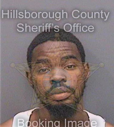 Johnson Lenard - Hillsborough County, FL 