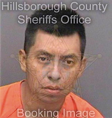 Grandebasilio Armando - Hillsborough County, FL 