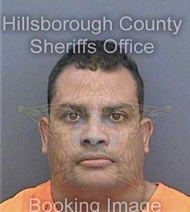 Suarez Luis - Hillsborough County, FL 