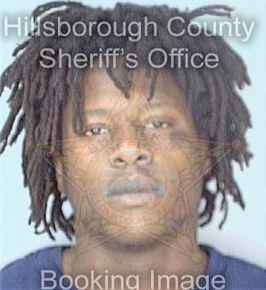 Davis Reginald - Hillsborough County, FL 