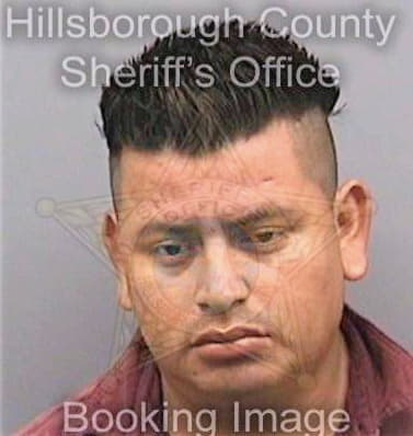 Delacruzhernandez Oscar - Hillsborough County, FL 