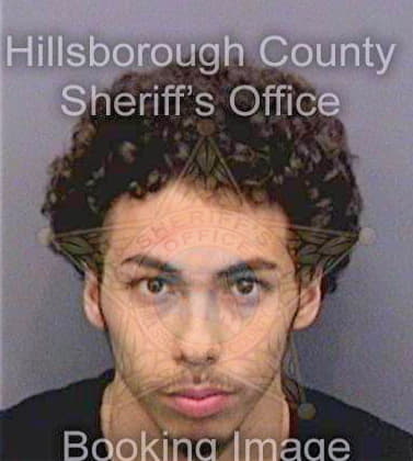 Marquez Enrique - Hillsborough County, FL 