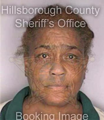 Mciver Dorthy - Hillsborough County, FL 