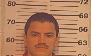 Hernandez Mauricio - Hidalgo County, TX 