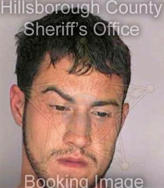 Milian Michael - Hillsborough County, FL 