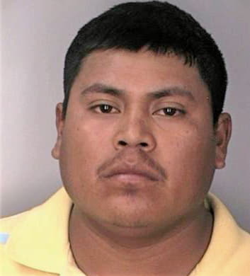 Medina Rogelio - Hillsborough County, FL 