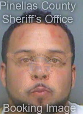 Bryant Shawn - Pinellas County, FL 