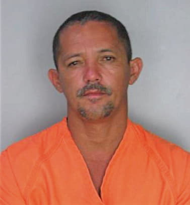Medina Gerardo - Hillsborough County, FL 