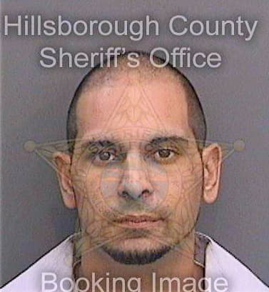 Martinez Lazaro - Hillsborough County, FL 