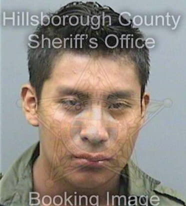 Perezgomez Valerianno - Hillsborough County, FL 