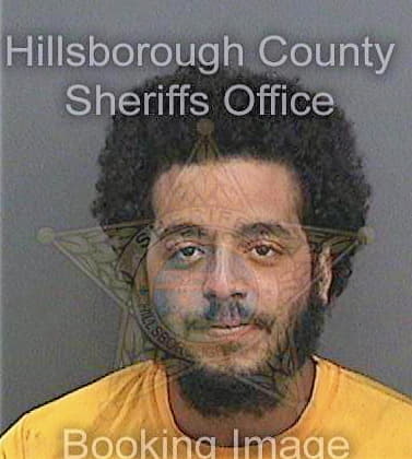 Hernandezrivera Alberto - Hillsborough County, FL 