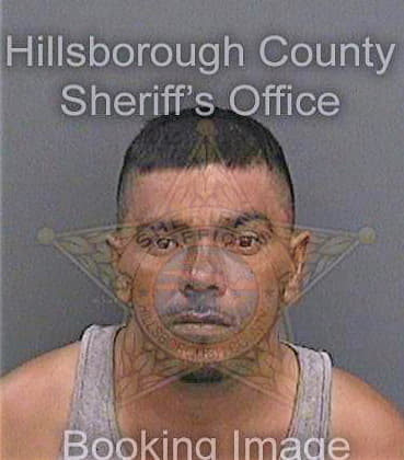 Torresvasquez Jose - Hillsborough County, FL 