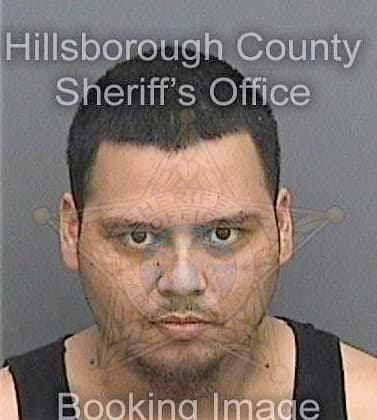 Dealejandrorodriguez Raul - Hillsborough County, FL 