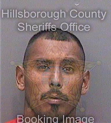 Sanchez Alferdo - Hillsborough County, FL 