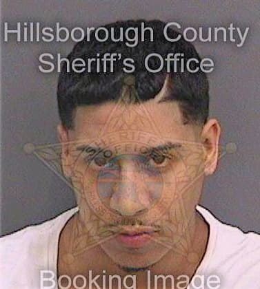 Gonzalez Eric - Hillsborough County, FL 