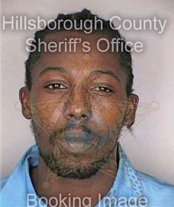 Johnson Rodney - Hillsborough County, FL 