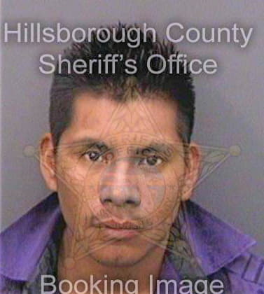 Josecastro Bertin - Hillsborough County, FL 