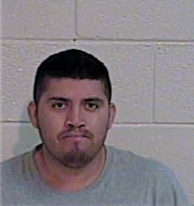 Armijo Yasmane - Hidalgo County, TX 