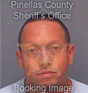 Miranda Gabriel - Pinellas County, FL 