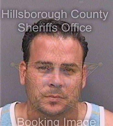 Gonzalezclaudio Jean - Hillsborough County, FL 