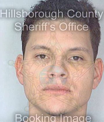 Giraldo Fabian - Hillsborough County, FL 