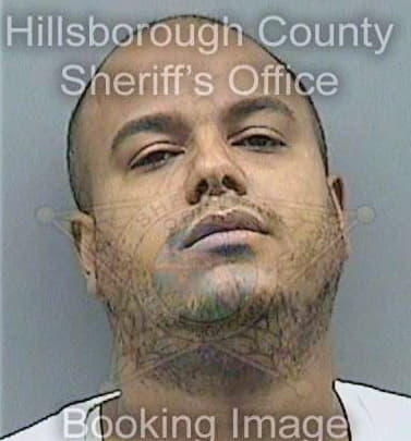 Mercedesazcona Dariel - Hillsborough County, FL 