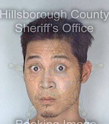 Perez Joseph - Hillsborough County, FL 